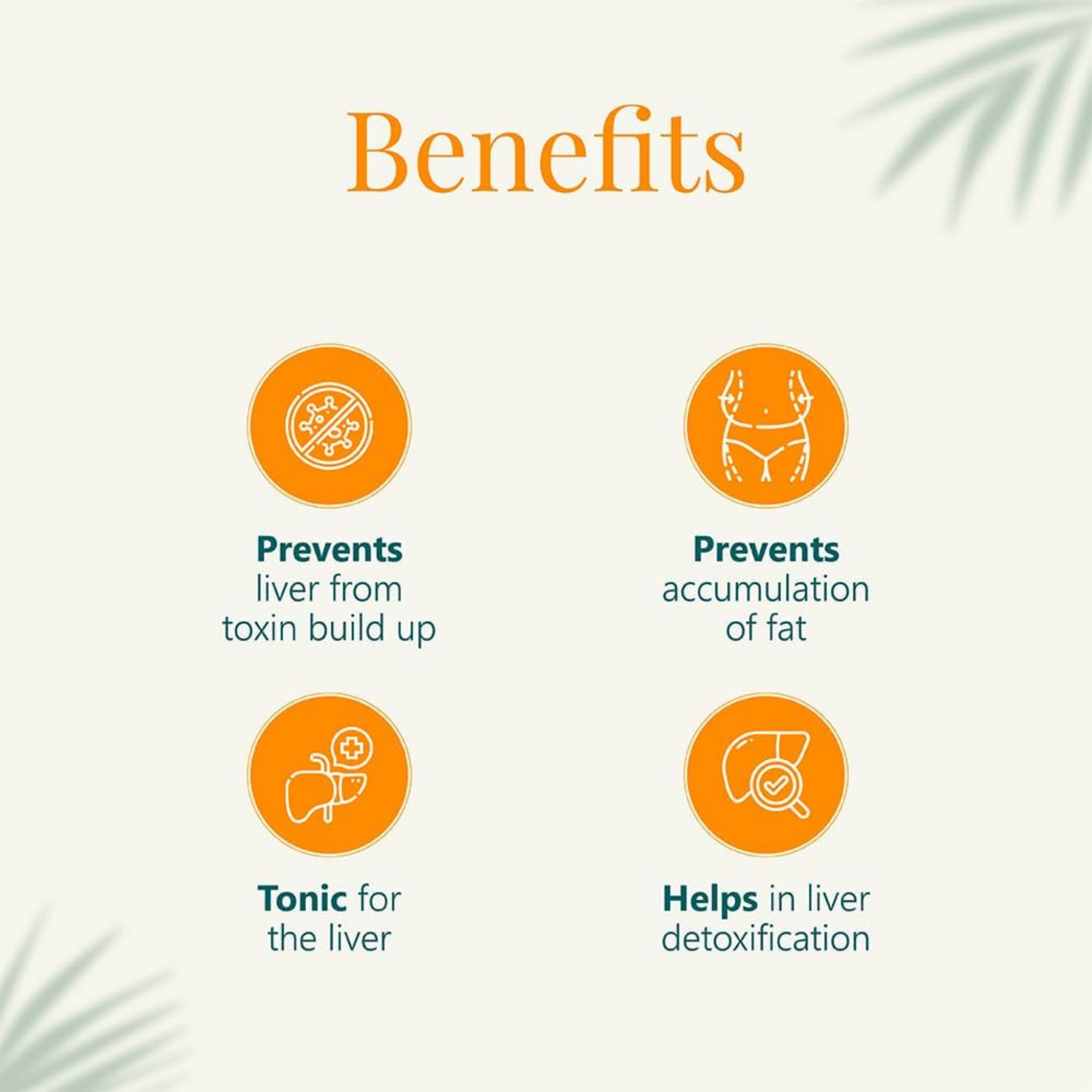 Himalaya Liv.52 DS 60 tablets