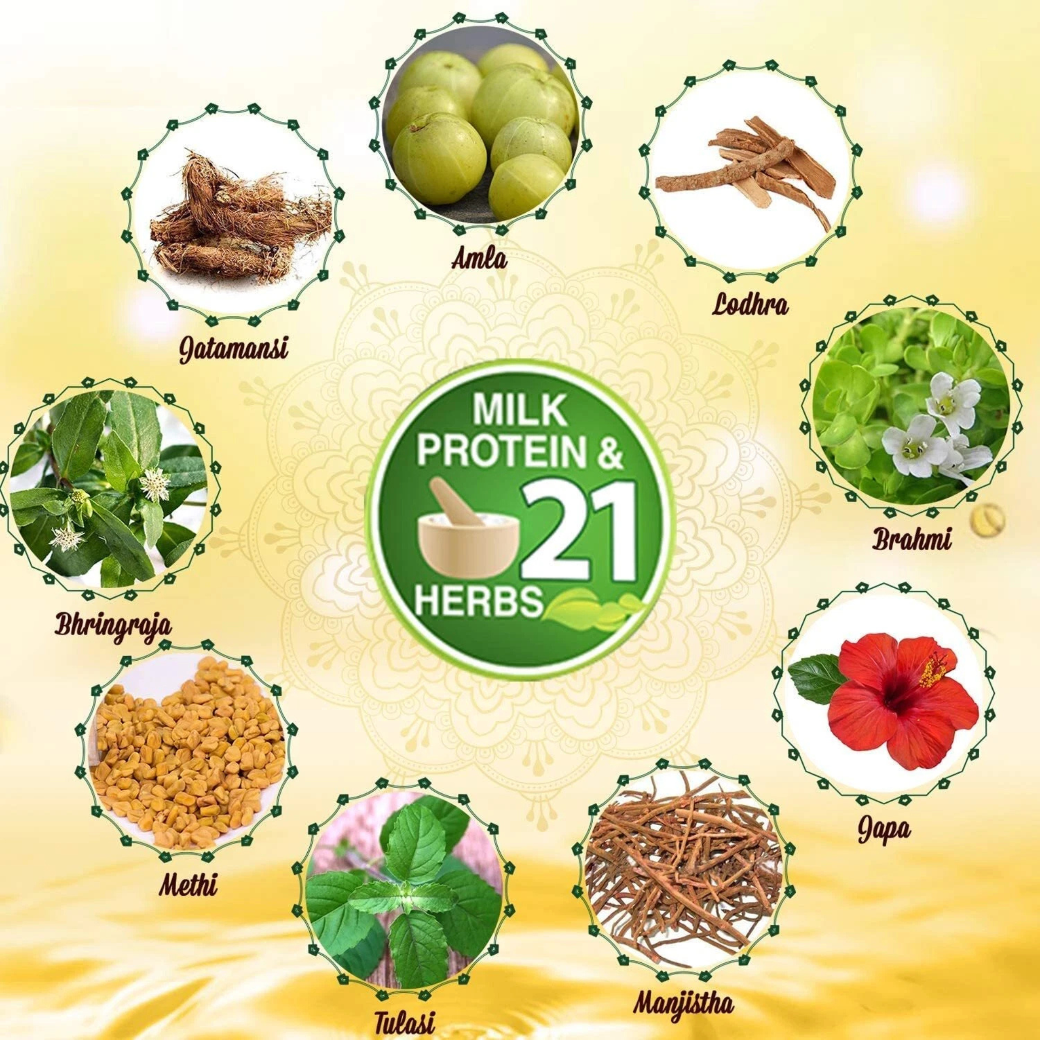 Illustration of 21 herbs with their names on a yellow background, promoting a product with milk protein and herbs.