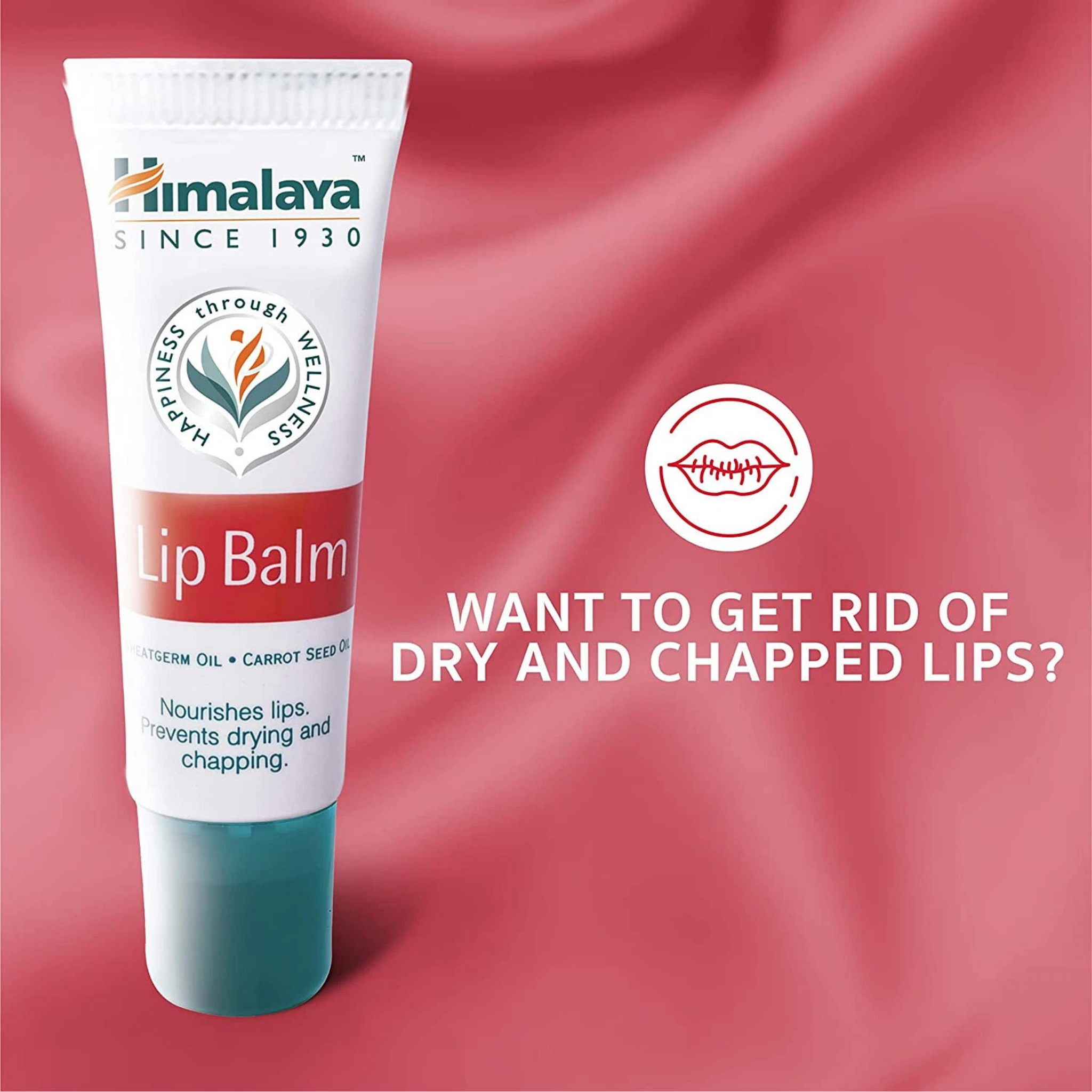 Himalaya Lip Balm